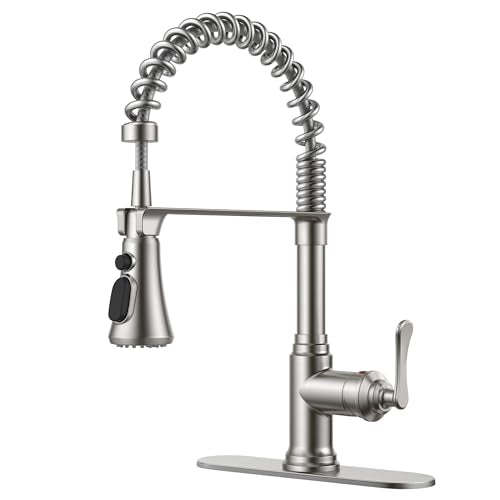 Rustic Kitchen Faucet with Pull Down Sprayer