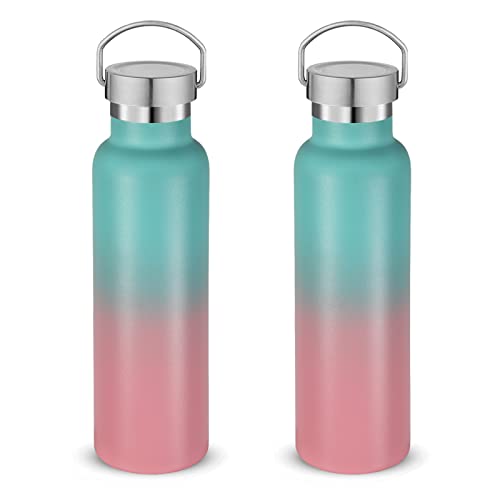 20 oz Insulated Water Bottles Bulk 2 Pack (2 Count)