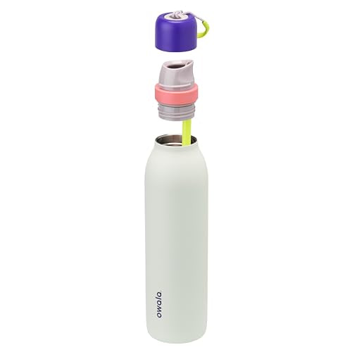 FreeSip Twist Stainless Steel Water Bottle 24 oz Minty Horizons