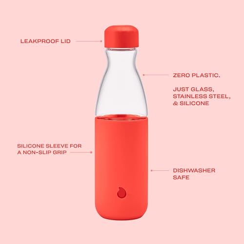 Glass Original Water Bottle