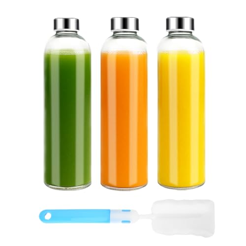 32 oz Clear Glass Water Bottles with Lids