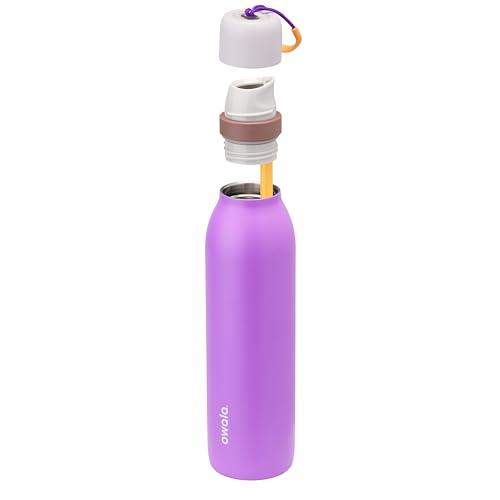 FreeSip Twist Stainless Steel Water Bottle 24 oz California Grapevine