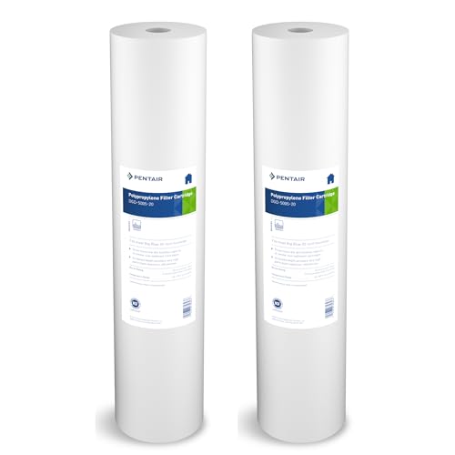 Pentair Pentek DGD (2 Count)