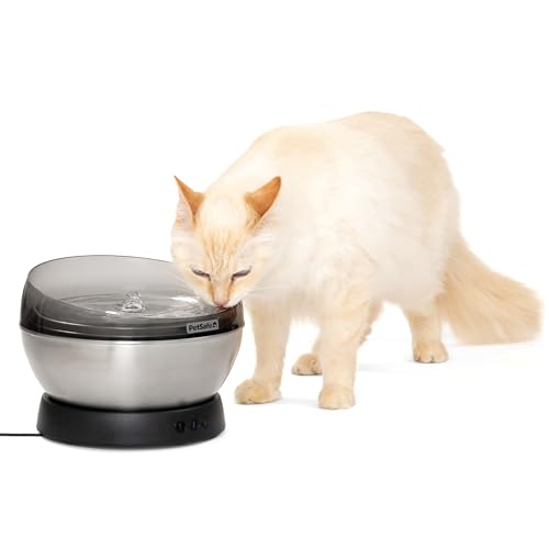 HydroSphere 60 oz Stainless Steel Pet Fountain