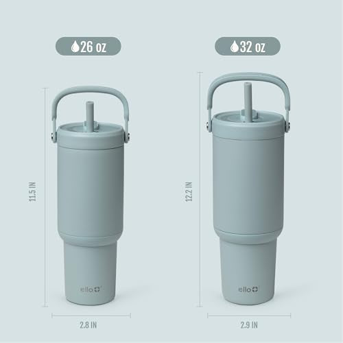 Oasis Go+ 32oz Insulated Stainless Steel Tumbler with Straw