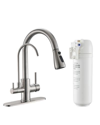 3 in 1 Kitchen Faucet with Pull Down Sprayer and Water Filter