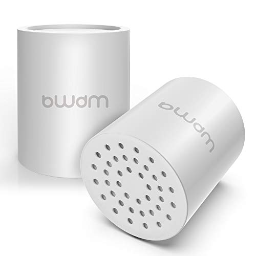 Shower Filter Replacement Cartridge (2 Count)