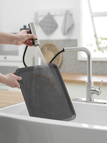 Kitchen Faucets with Pull Down Sprayer