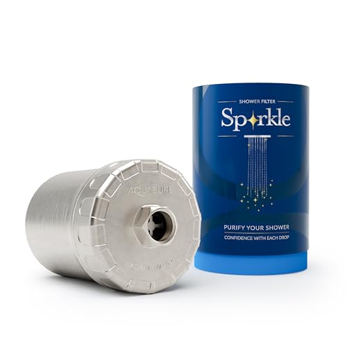 10 000 Gallons High Capacity Shower Filter For Healthier Hair