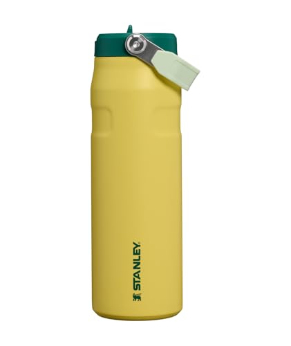 IceFlow Flip Straw 2.0 Bottle