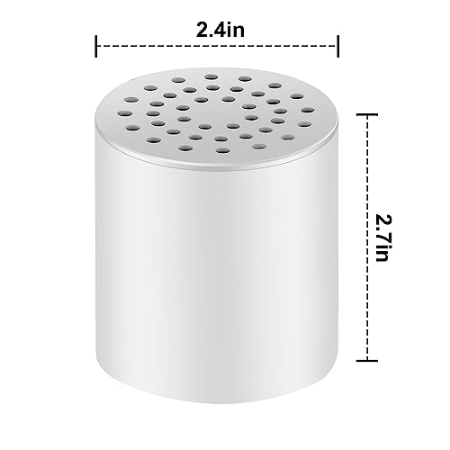 Shower Filter Replacement Cartridge (2 Count)