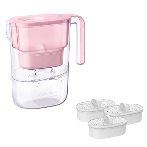 PT 05P Water Filter Pitcher with 4 Filters (2 Count)