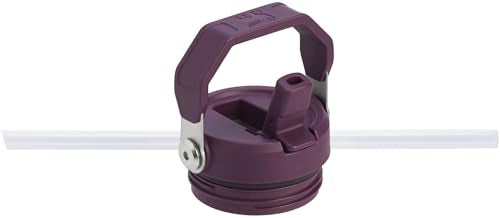 IceFlow Flip Straw 2.0 Bottle