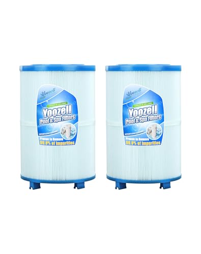Spa Filter Cartridge Compatible with Unicel C (2 Count)