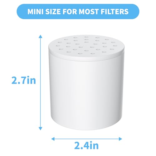 Shower Filter