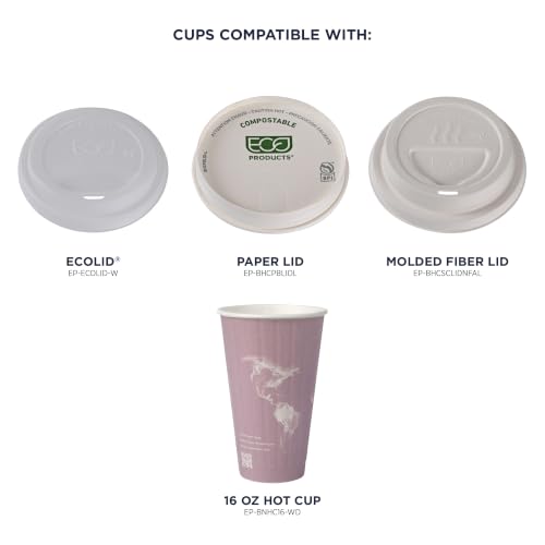 World Art Disposable Insulated Coffee Cups (40 Count)