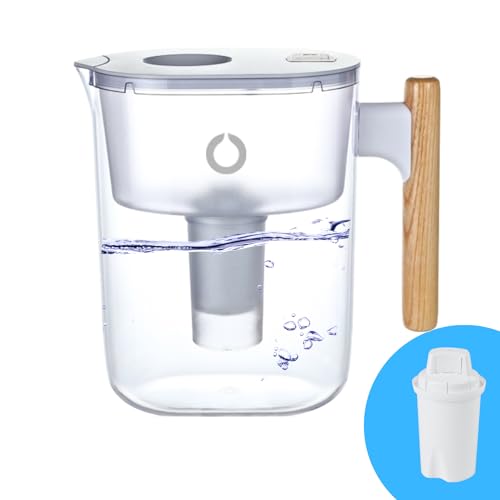 CleanTaste 10