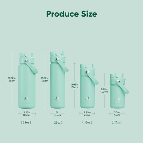 Insulated Water Bottle with Straw Stainless Steel Water Bottle