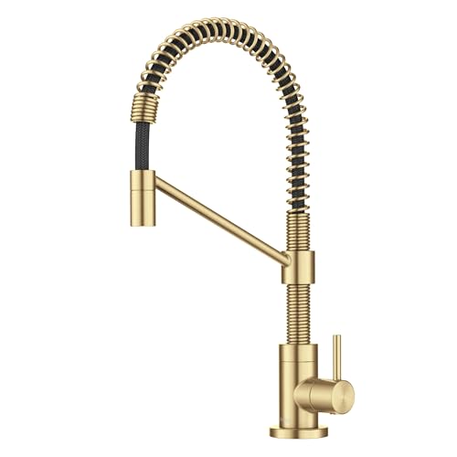 Bolden Single Handle Drinking Water Filter Faucet for Reverse Osmosis or Water Filtration System in Brushed Brass