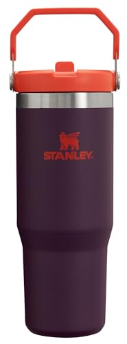 IceFlow Flip Straw Tumbler with Handle 30 oz