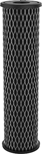 Pentair OMNIFilter TO1 Carbon Water Filter (2 Count)