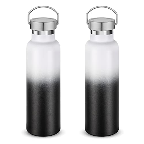 20 oz Insulated Water Bottles Bulk 2 Pack (2 Count)