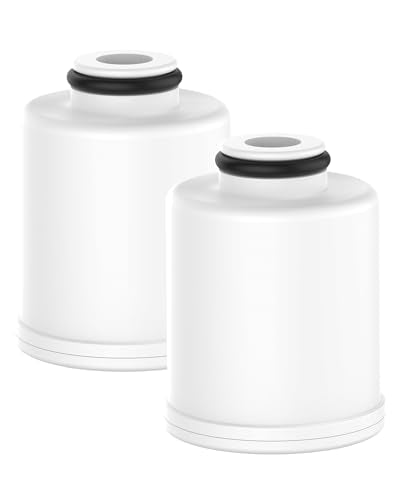 FXSCH Shower Filter Replacement for GE® FXSCH (2 Count)