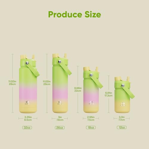 Insulated Water Bottle with Straw Stainless Steel Water Bottle