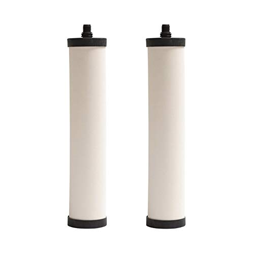 Doulton M15 UltraCarb Ceramic Drinking Water Filter Candle for Franke 02 (2 Count)