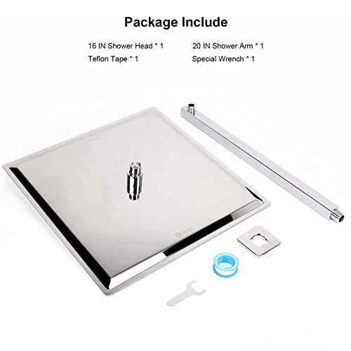 Shower Head with Extension Arm