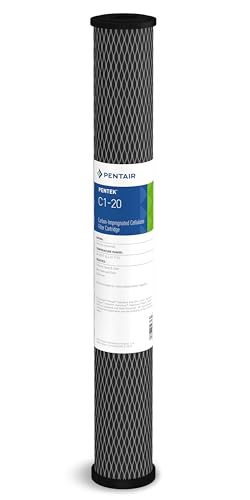 Pentair Pentek C1
