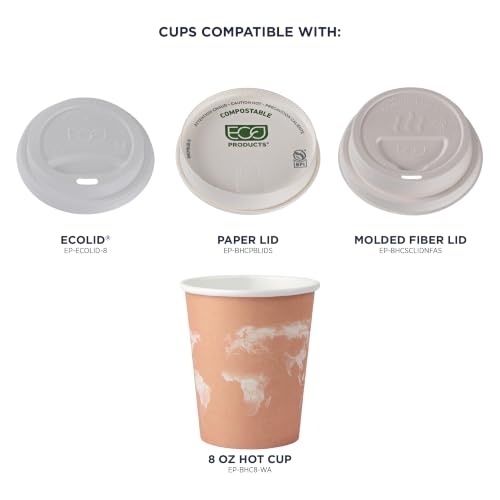 World Art Disposable Coffee Cups (50 Count)
