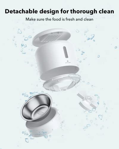 Automatic Cat Feeder