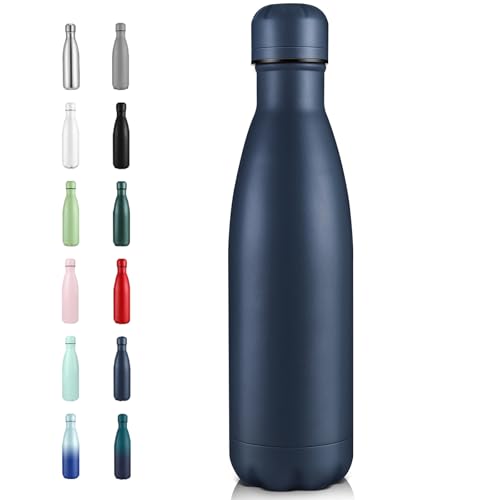 17oz Insulated Stainless Steel Water Bottle