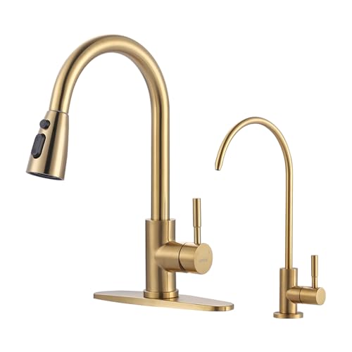 Kitchen Faucet and Water Filter Faucet Combo