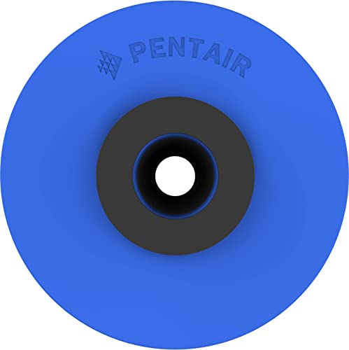 Pentair Pentek R30 (2 Count)