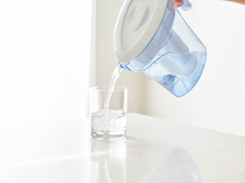 Official Replacement Filter (6 Count)