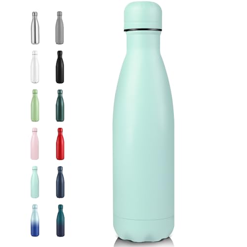17oz Insulated Stainless Steel Water Bottle