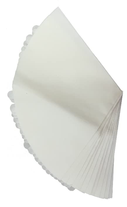 Replacement 48 Cones & 8 Filters Compatible for Filter Queen Majestic Vacuum Bags (3.2 Ounce)