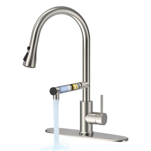 Filter Water Kitchen Faucets