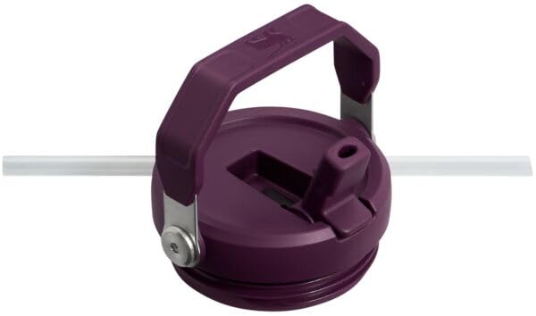 IceFlow Flip Straw Tumbler with Handle 30 oz