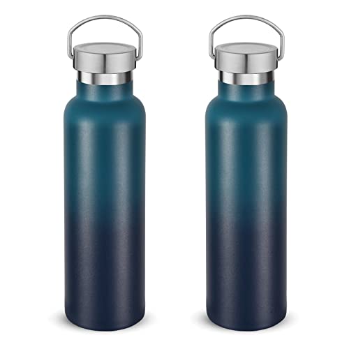 20 oz Insulated Water Bottles Bulk 2 Pack (2 Count)