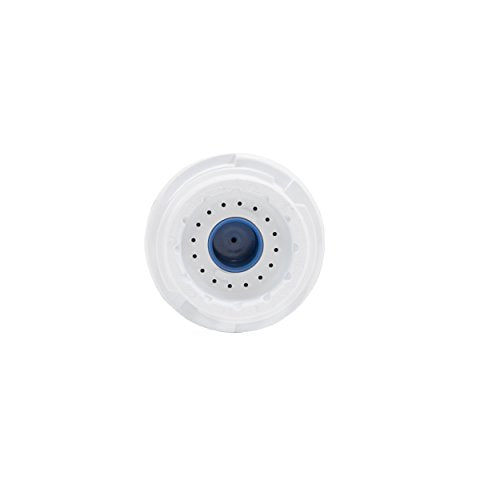 GE GSWF Refrigerator Water Filter