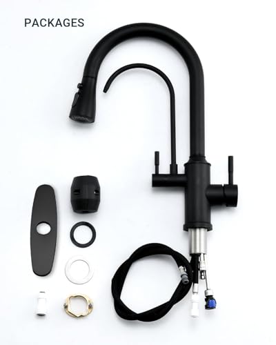 Kitchen Faucet with Water Filter