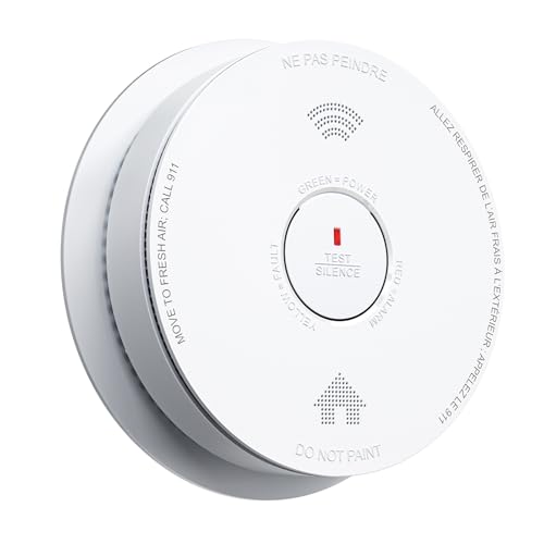 Smoke Detector Combo Smoke & Carbon Monoxide Alarm 10