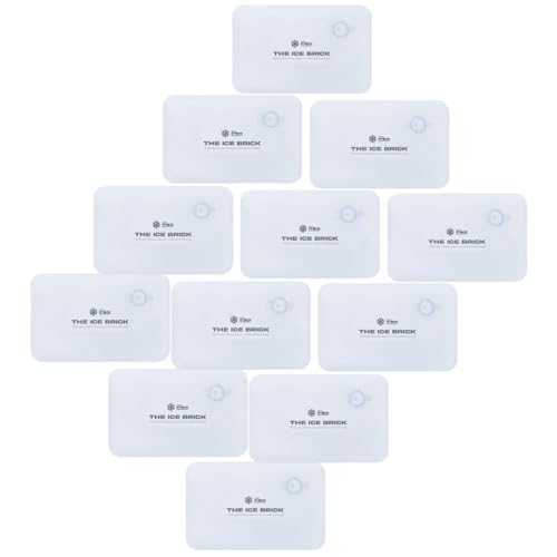12 Pack Ice Brick (12 Count)