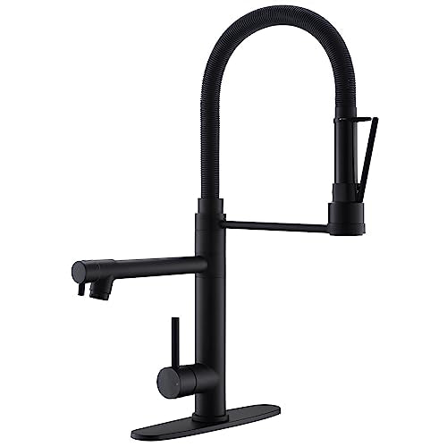 Dual Spout Black Kitchen Sink Faucet with Pull Down Sprayer
