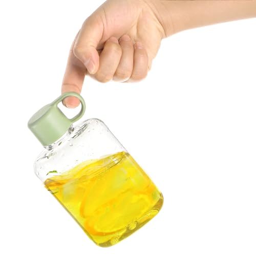 2 Pack Portable Flat Water Bottle (2 Count)