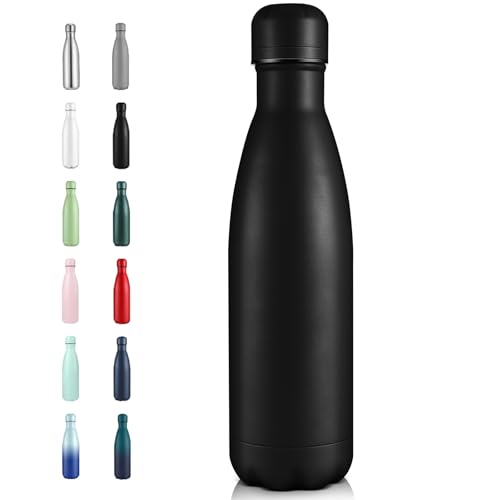 17oz Insulated Stainless Steel Water Bottle