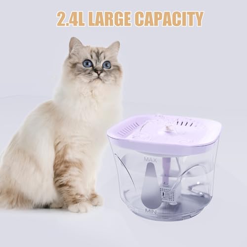 Cat Water Fountain